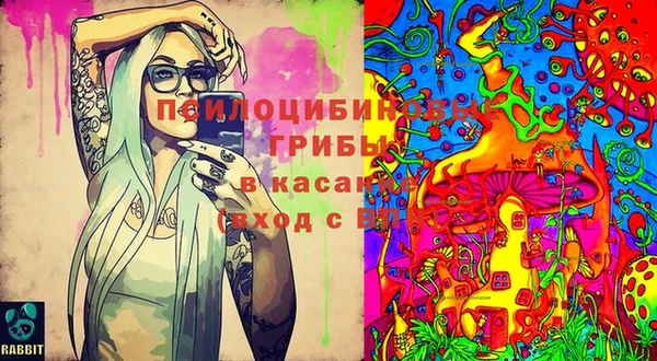 тгк Алексин