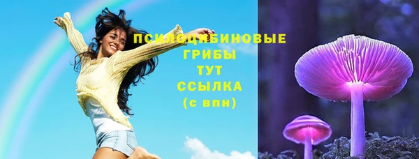 скорость Алзамай