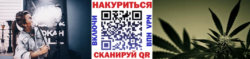 МАРИХУАНА гибрид  Тамбов 